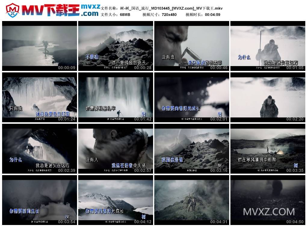 树-树_国语_流行_MD103445
